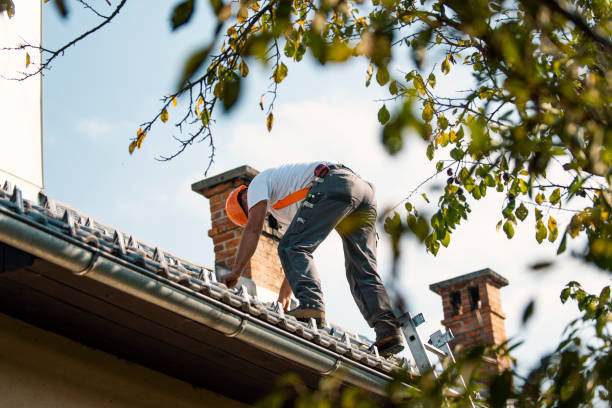 Quick and Trustworthy Emergency Roof Repair Services in Woodway, WA